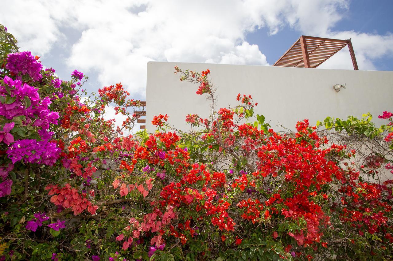 Bonaire Fun Apartments Dış mekan fotoğraf